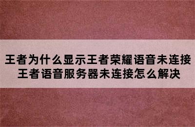 王者为什么显示王者荣耀语音未连接 王者语音服务器未连接怎么解决